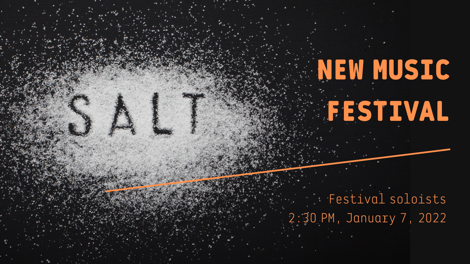 SALT New Music Festival - concert of the festival soloists