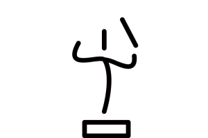 SALT Festival: Conducting Masterclass and Lecture